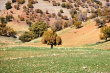 چشم‌اندازهای دلپذیر ایلام در یک روز بارانی