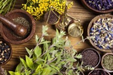 بازار گیاهان دارویی در ایلام مغفول مانده است