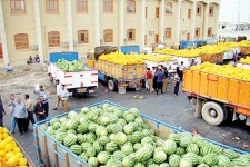 صادرات ۲۷۱ هزار تُن محصولات کشاورزی از مهران