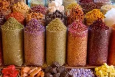 مغفول ماندن بازار گیاهان دارویی در ایلام