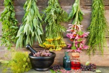 نبود بازار فروش مهم‌ترین مشکل گیاهان دارویی