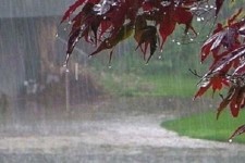 ورود سامانه بارشی به ایلام