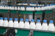 ظرفیت‌های فراوری شیر خام در ایجاد اشتغال