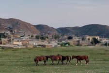 روزی متفاوت در روستای بیشه‌دراز دهلران