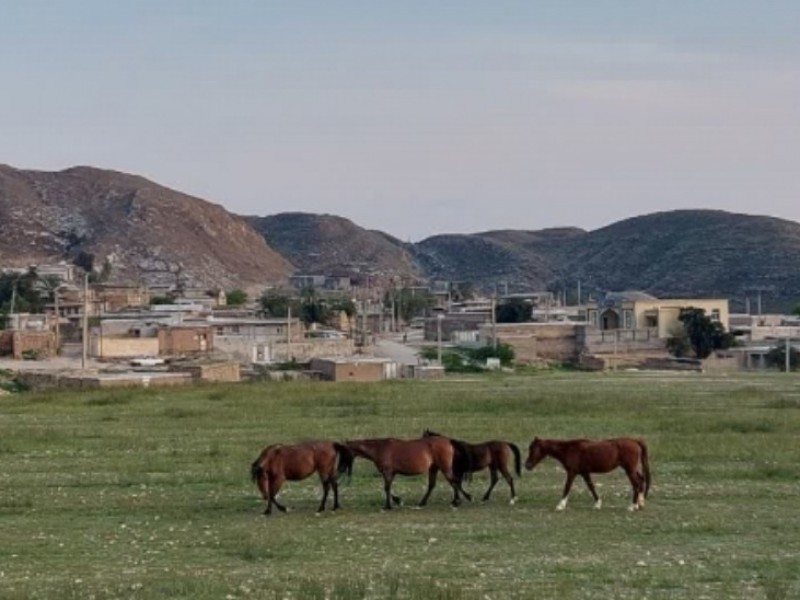 روزی متفاوت در روستای بیشه‌دراز دهلران