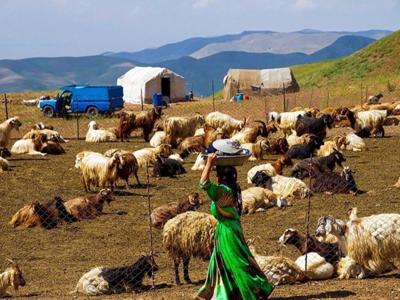 ظرفیت‌های عشایر در شکوفایی اقتصاد ایلام