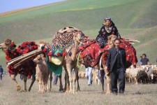 تمهیدات لازم برای کوچ عشایر فراهم شد