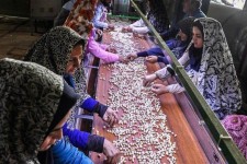 ضرورت توجه به فعالیت اقتصادی زنان روستاها