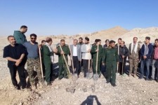 ۱۰۰ اصله نهال در دهلران غرس شد