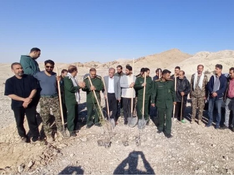 ۱۰۰ اصله نهال در دهلران غرس شد