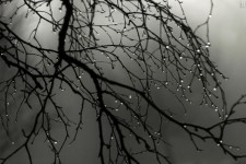 سه‌شنبه آسمان ایلام بارانی می‌شود