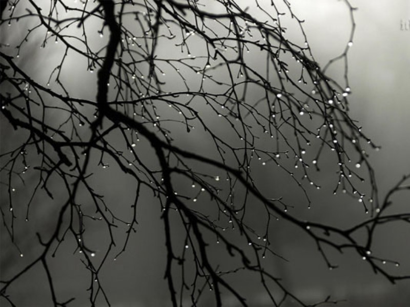 سه‌شنبه آسمان ایلام بارانی می‌شود