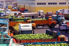 صادرات ۲۹۴ هزار و ۴۷۲ تُن محصول کشاورزی از مهران