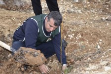 کاشت نهال به مناسبت روز درختکاری در ایلام