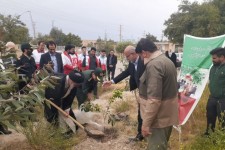 کاشت ۱۱۲ نهال، به یاد امدادگران شهید در دهلران