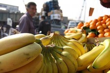 واسطه‌گری و احتکار؛ عوامل پنهان گرانی میوه