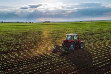 حفاظت از اراضی کشاورزی کلید امنیت غذایی