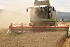 کمباین‌ها وارد عرصه تولید شدند