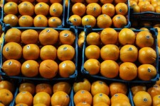 توزیع میوه نوروزی در ایلام با ۶۵ عامل