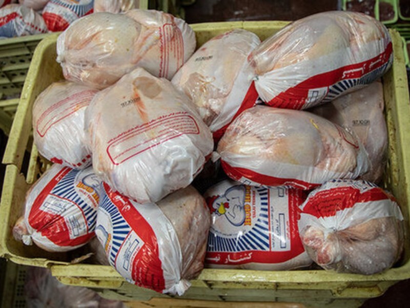 توزیع ۲۵۰ تن مرغ منجمد در ایلام