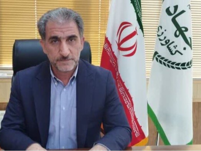 رایزنی برای جبران خسارت کشاورزان فاقد بیمه