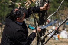 هرگونه آسیب به طبیعت برخورد قانونی به همراه دارد