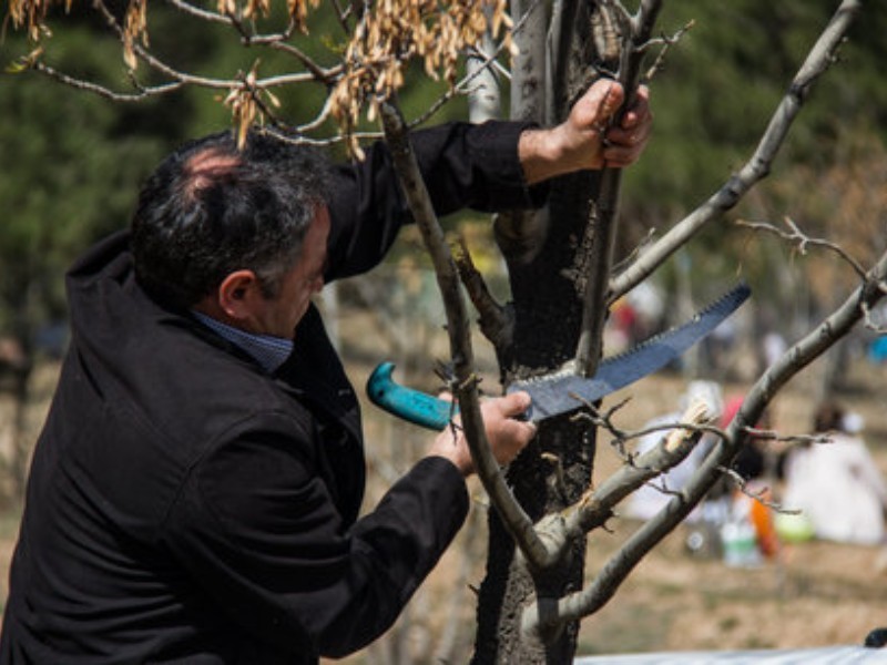 هرگونه آسیب به طبیعت برخورد قانونی به همراه دارد