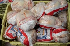 توزیع ۷ تن مرغ منجمد در ایلام