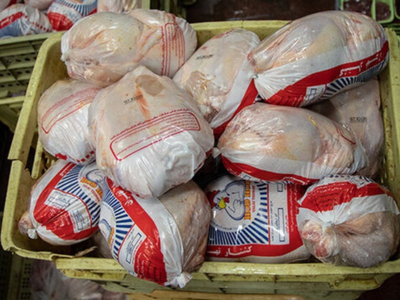 توزیع ۷ تن مرغ منجمد در ایلام