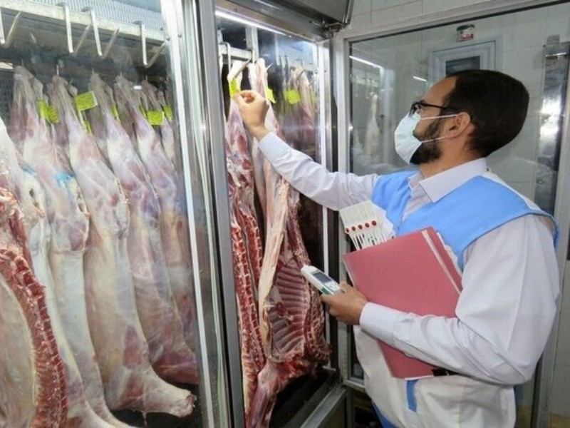 جمع‌آوری ۶۵۱۴ کیلوگرم فرآورده فاسد در ایلام