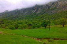 طبیعت بکر شهرستان چوار