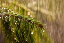 سامانه ناپایدار جوی وارد استان ایلام شد