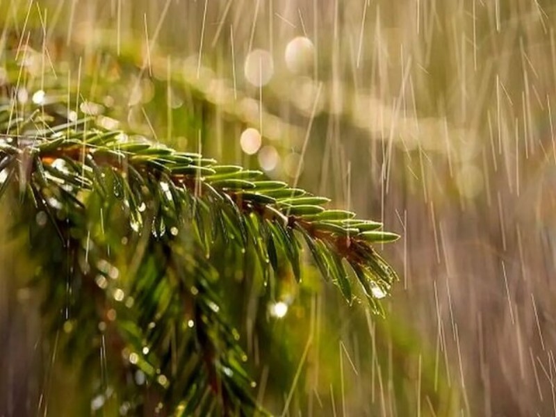 سامانه ناپایدار جوی وارد استان ایلام شد