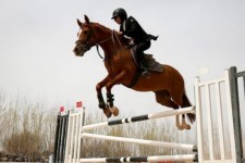 فراخوان ثبت‌نام تصدی‌گری هیأت سوارکاری استان ایلام