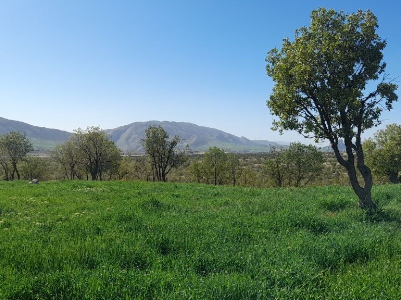 طبیعت زیبای استان ایلام
