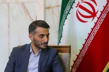 نجف از تجربه جنگل‌کاری ایلام استقبال می‌کند