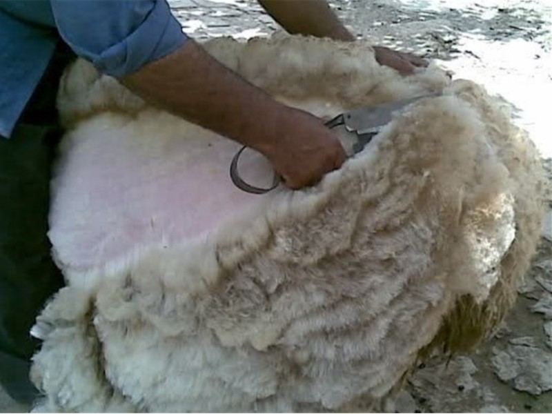 هنر پشم چینی عشایر ایلام