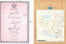 سند تک‌برگ، شرط دریافت خدمات ثبتی است