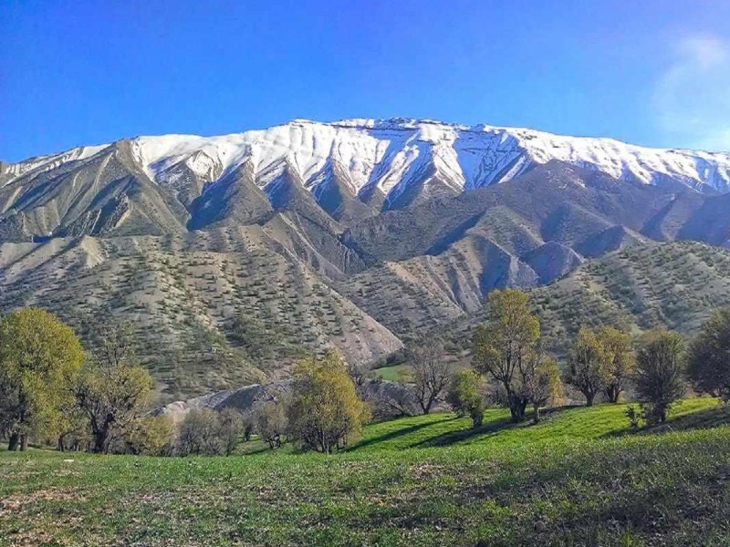 حفاظت از کبیرکوه با مسدود شدن مسیر خودروها