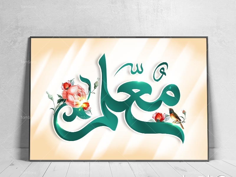 معلمان نمونه مدارس غیردولتی ایلام مشخص شد