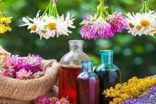 چرداول بستر توسعه کشت گیاهان دارویی در ایلام