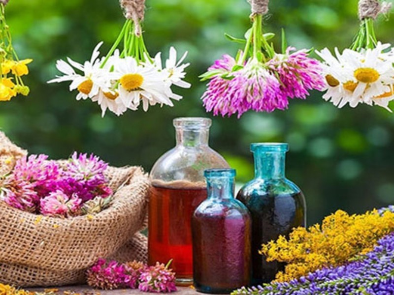 چرداول بستر توسعه کشت گیاهان دارویی در ایلام