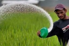 ۳۷۸ تن کود اوره در هلیلان توزیع شد