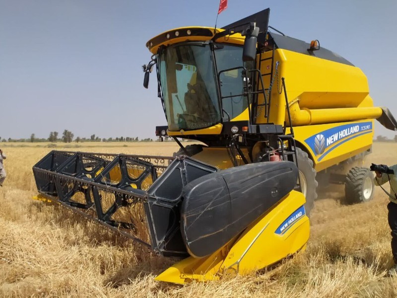 ۷۰۰ کمباین در فصل برداشت به مزارع ایلام می‌روند