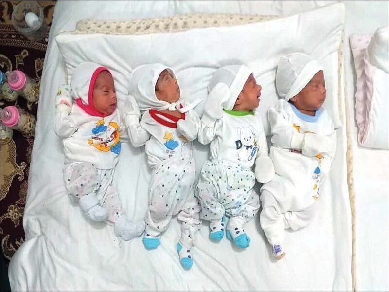 ضرورت حمایت از خانواده‌های چندقلو در ایلام