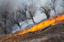 افراد از آتش‌افروزی در زمین‌های خشک بپرهیزند