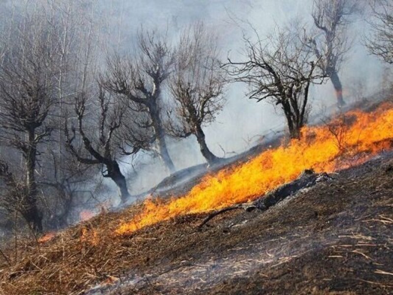 افراد از آتش‌افروزی در زمین‌های خشک بپرهیزند