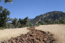 جنگل‌های دهلران در برابر آتش‌سوزی ایمن شدند