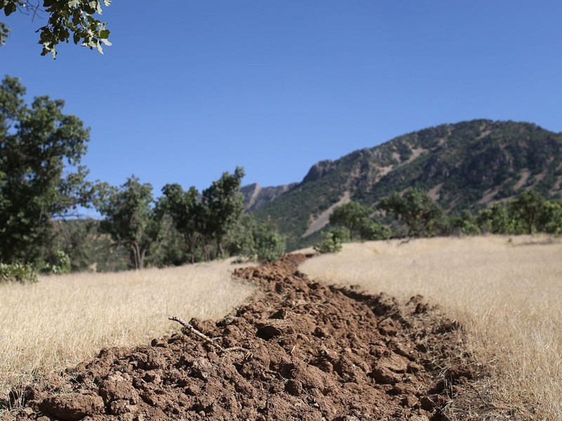 جنگل‌های دهلران در برابر آتش‌سوزی ایمن شدند