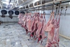 فعالیت کشتارگاه زرین‌آباد ازسرگرفته شد